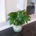 Aparthotel Sahin Tepesi Trabzon