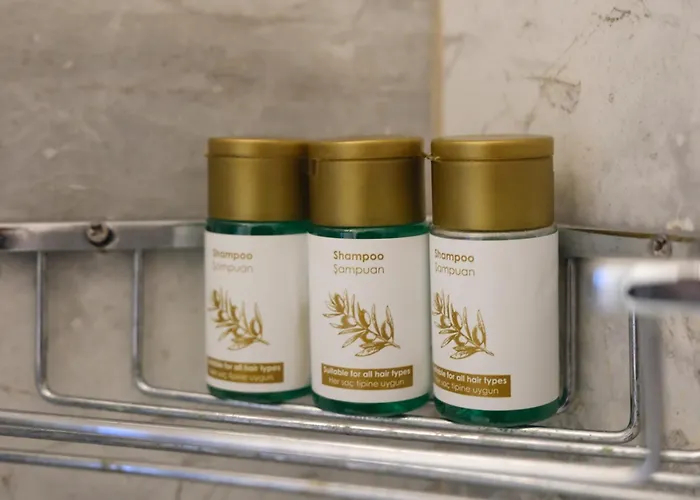 Sahin Tepesi Apart Otel Aparthotel 4*