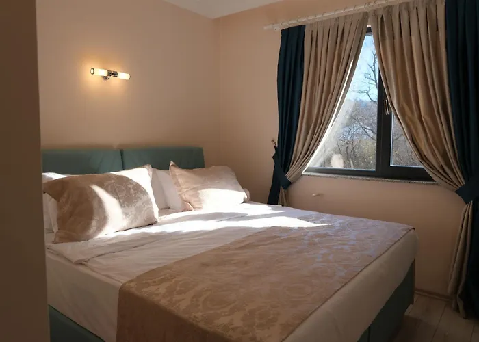 Sahin Tepesi Apart Otel 4*