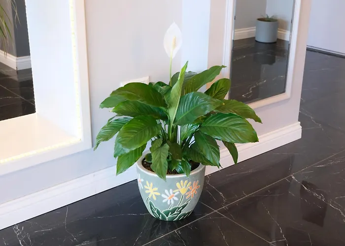 Aparthotel Sahin Tepesi Apart Otel Trabzon